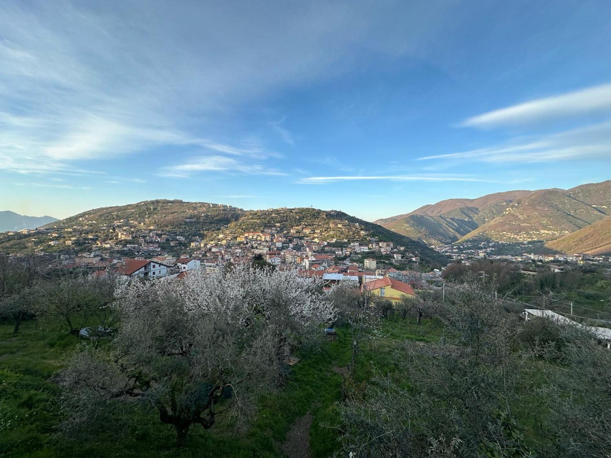 Bed And Breakfast Il Ceppo Wild Pimonte Exterior photo