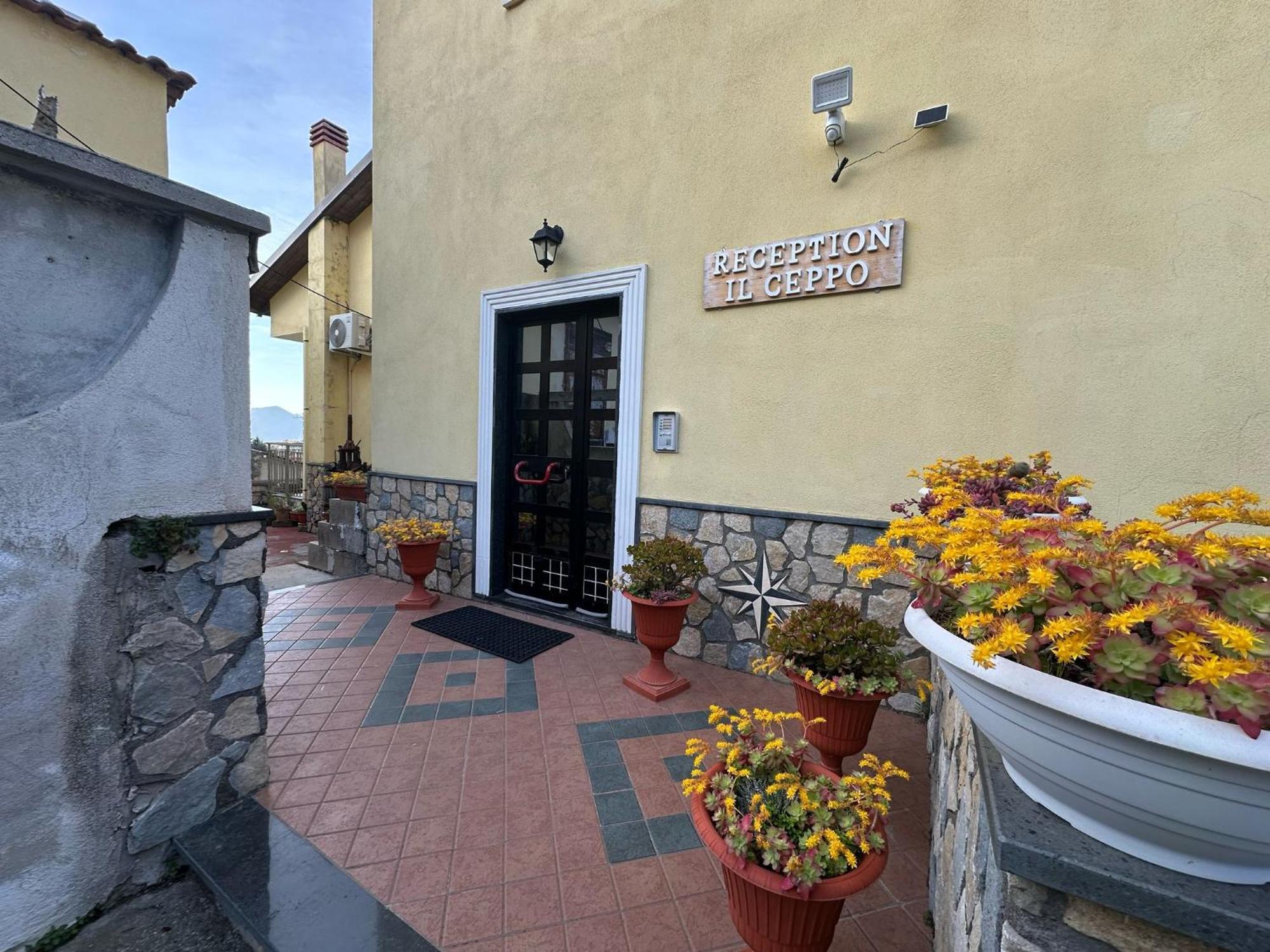 Bed And Breakfast Il Ceppo Wild Pimonte Exterior photo